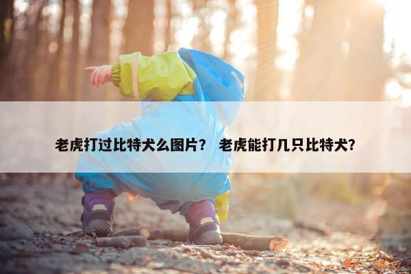 老虎打过比特犬么图片？ 老虎能打几只比特犬？