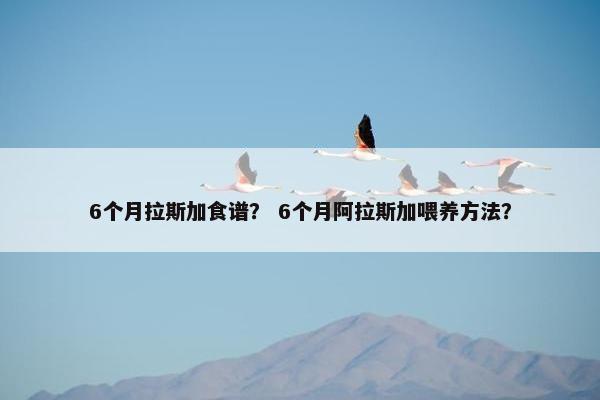 6个月拉斯加食谱？ 6个月阿拉斯加喂养方法？