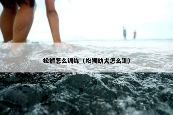 松狮怎么训练（松狮幼犬怎么训）