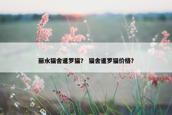 丽水猫舍暹罗猫？ 猫舍暹罗猫价格？
