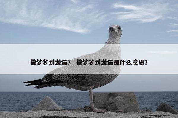 做梦梦到龙猫？ 做梦梦到龙猫是什么意思？