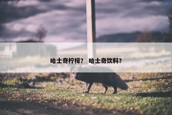 哈士奇柠檬？ 哈士奇饮料？