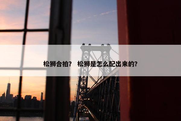 松狮合拍？ 松狮是怎么配出来的？