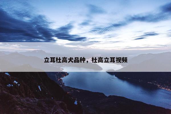 立耳杜高犬品种，杜高立耳视频