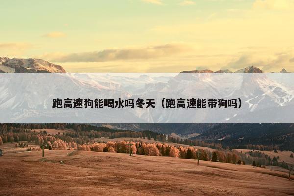 跑高速狗能喝水吗冬天（跑高速能带狗吗）