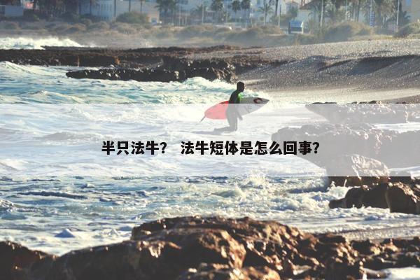 半只法牛？ 法牛短体是怎么回事？