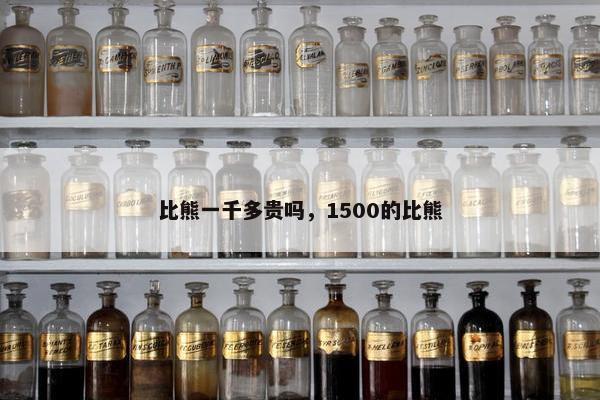 比熊一千多贵吗，1500的比熊