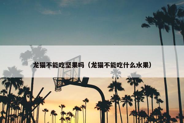 龙猫不能吃坚果吗（龙猫不能吃什么水果）