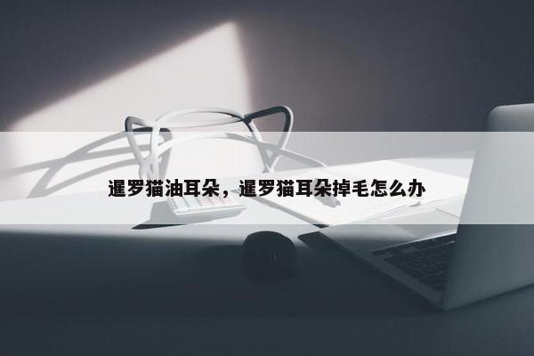 暹罗猫油耳朵，暹罗猫耳朵掉毛怎么办