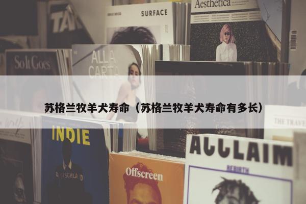 苏格兰牧羊犬寿命（苏格兰牧羊犬寿命有多长）