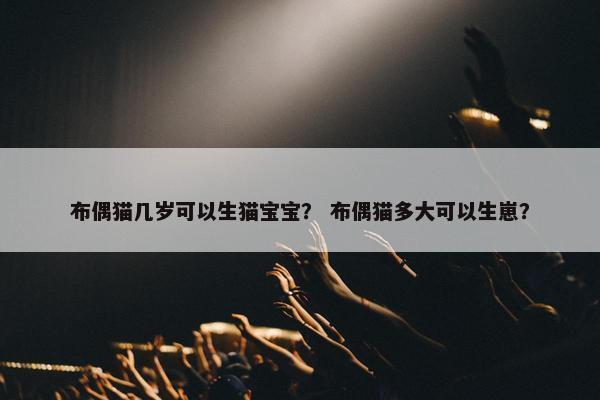 布偶猫几岁可以生猫宝宝？ 布偶猫多大可以生崽？