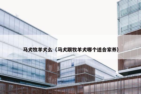 马犬牧羊犬么（马犬跟牧羊犬哪个适合家养）