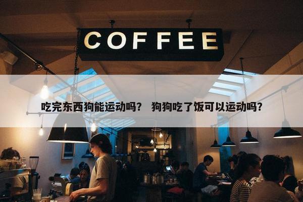 吃完东西狗能运动吗？ 狗狗吃了饭可以运动吗？