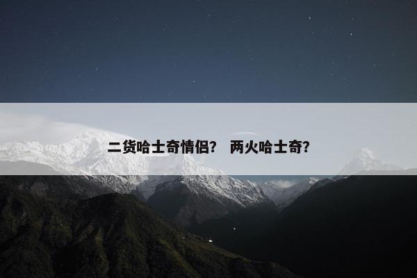 二货哈士奇情侣？ 两火哈士奇？