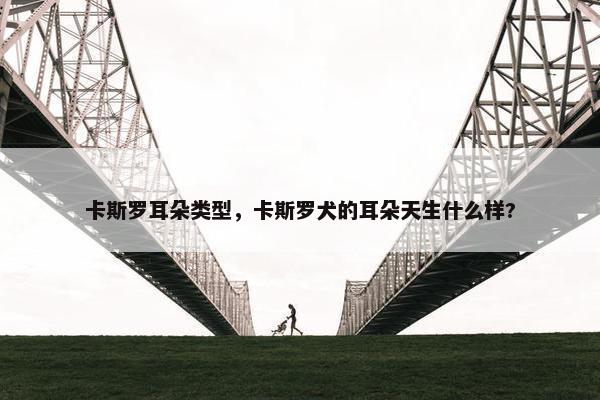 卡斯罗耳朵类型，卡斯罗犬的耳朵天生什么样?