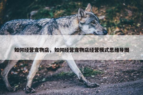 如何经营宠物店，如何经营宠物店经营模式思维导图