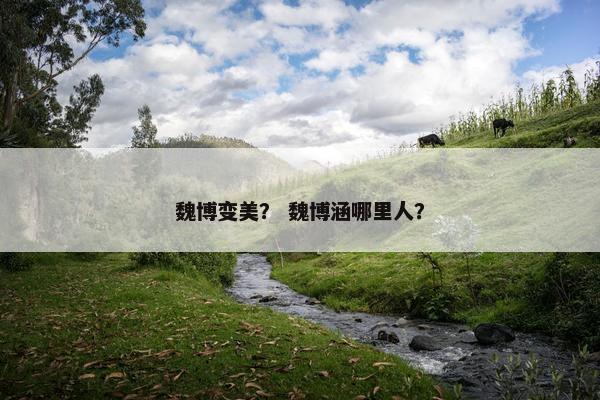 魏博变美？ 魏博涵哪里人？