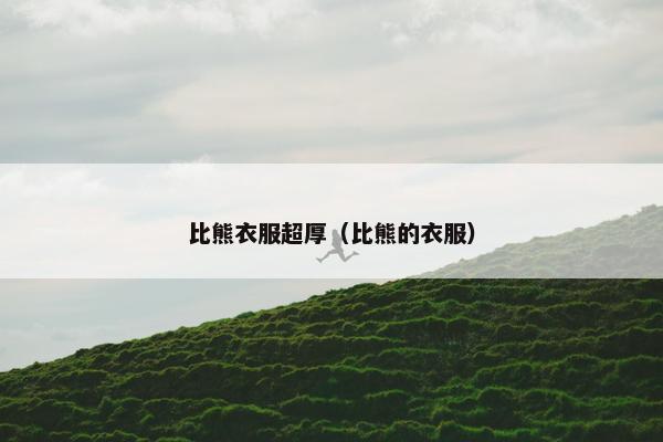 比熊衣服超厚（比熊的衣服）
