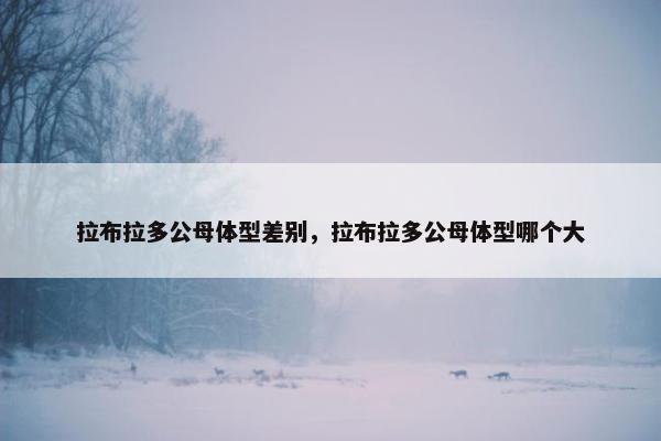 拉布拉多公母体型差别，拉布拉多公母体型哪个大