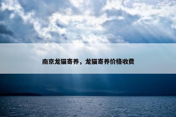南京龙猫寄养，龙猫寄养价格收费