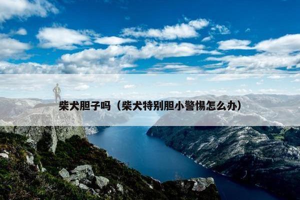 柴犬胆子吗（柴犬特别胆小警惕怎么办）
