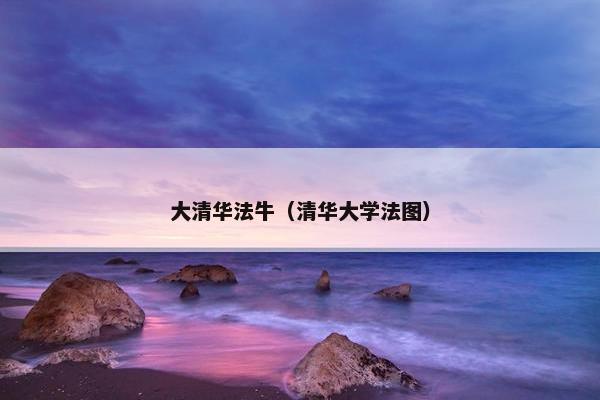 大清华法牛（清华大学法图）