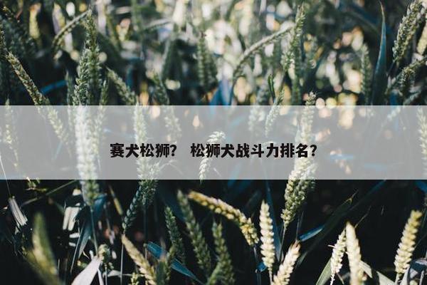 赛犬松狮？ 松狮犬战斗力排名？