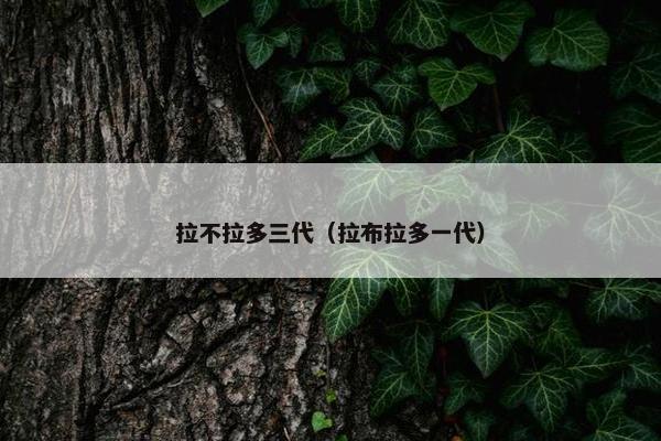 拉不拉多三代（拉布拉多一代）