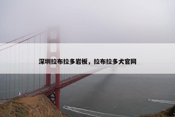 深圳拉布拉多岩板，拉布拉多犬官网