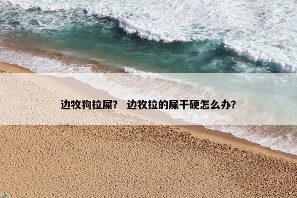 边牧狗拉屎？ 边牧拉的屎干硬怎么办？