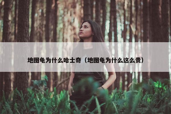 地图龟为什么哈士奇（地图龟为什么这么贵）