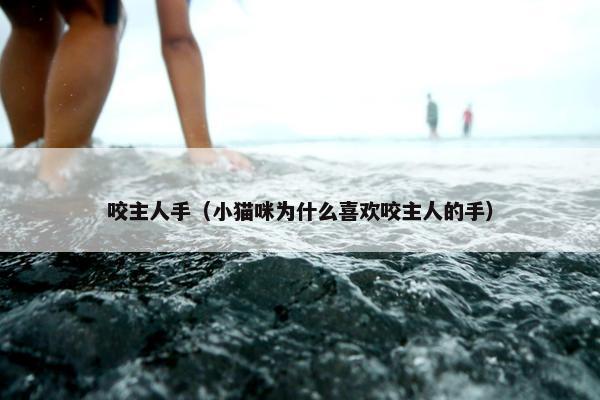 咬主人手（小猫咪为什么喜欢咬主人的手）