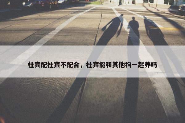 杜宾配杜宾不配合，杜宾能和其他狗一起养吗