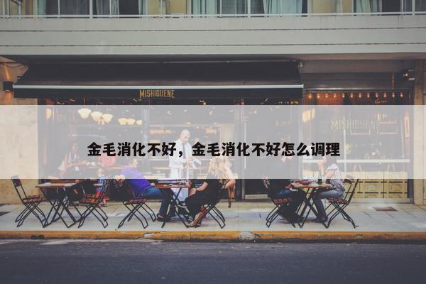 金毛消化不好，金毛消化不好怎么调理