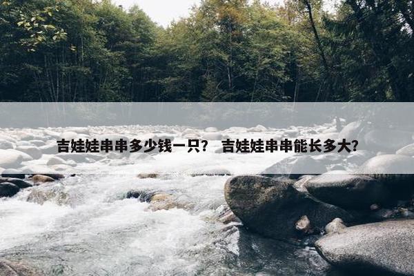 吉娃娃串串多少钱一只？ 吉娃娃串串能长多大？