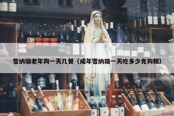 雪纳瑞老年狗一天几餐（成年雪纳瑞一天吃多少克狗粮）