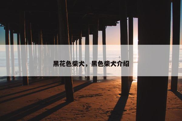 黑花色柴犬，黑色柴犬介绍