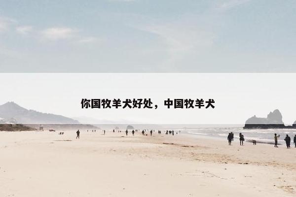 你国牧羊犬好处，中国牧羊犬