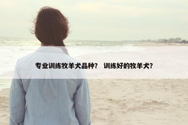 专业训练牧羊犬品种？ 训练好的牧羊犬？