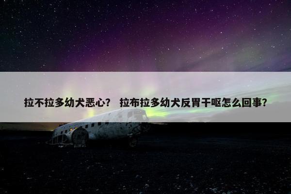 拉不拉多幼犬恶心？ 拉布拉多幼犬反胃干呕怎么回事？