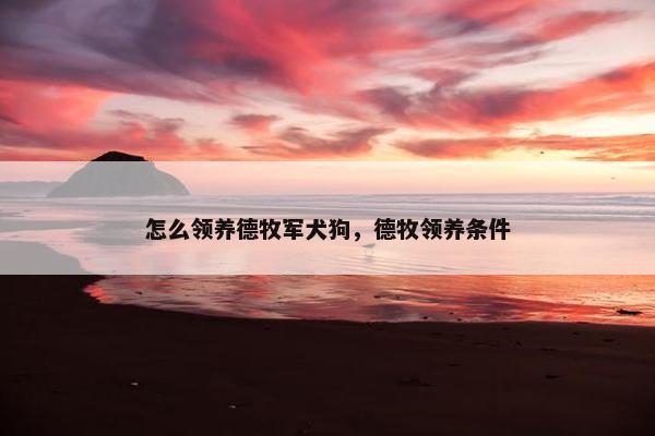 怎么领养德牧军犬狗，德牧领养条件