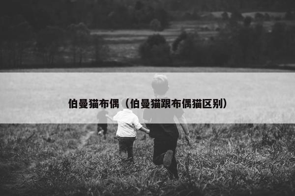 伯曼猫布偶（伯曼猫跟布偶猫区别）