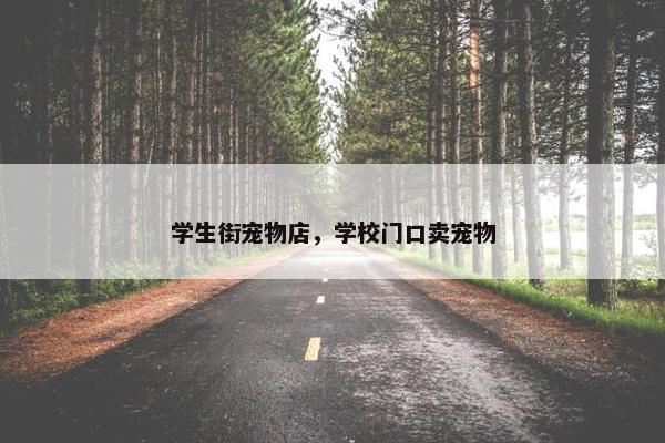 学生街宠物店，学校门口卖宠物