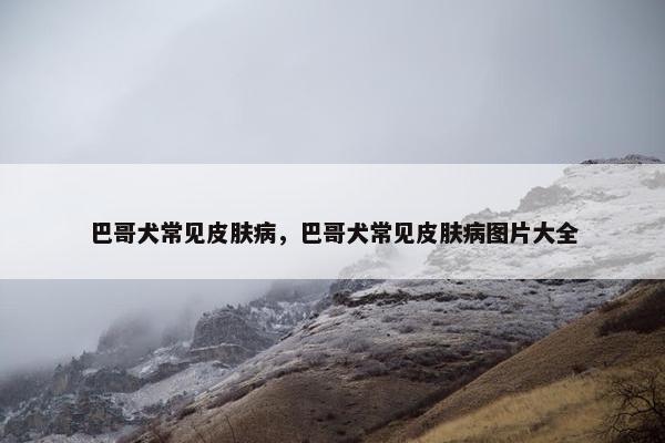 巴哥犬常见皮肤病，巴哥犬常见皮肤病图片大全