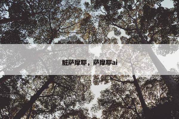 脏萨摩耶，萨摩耶ai