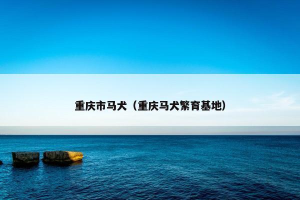 重庆市马犬（重庆马犬繁育基地）