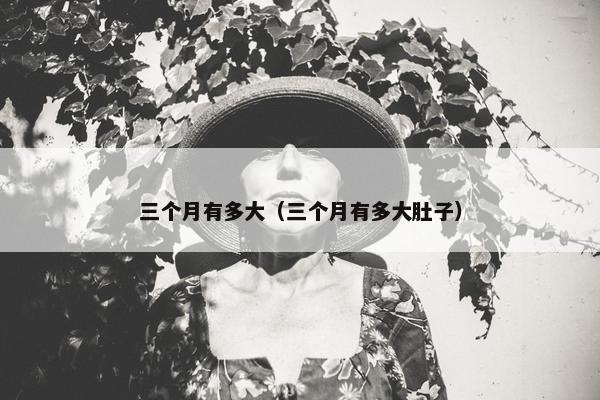 三个月有多大（三个月有多大肚子）