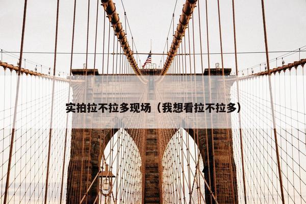 实拍拉不拉多现场（我想看拉不拉多）