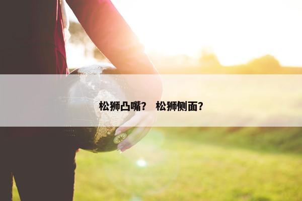 松狮凸嘴？ 松狮侧面？