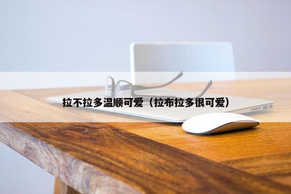 拉不拉多温顺可爱（拉布拉多很可爱）
